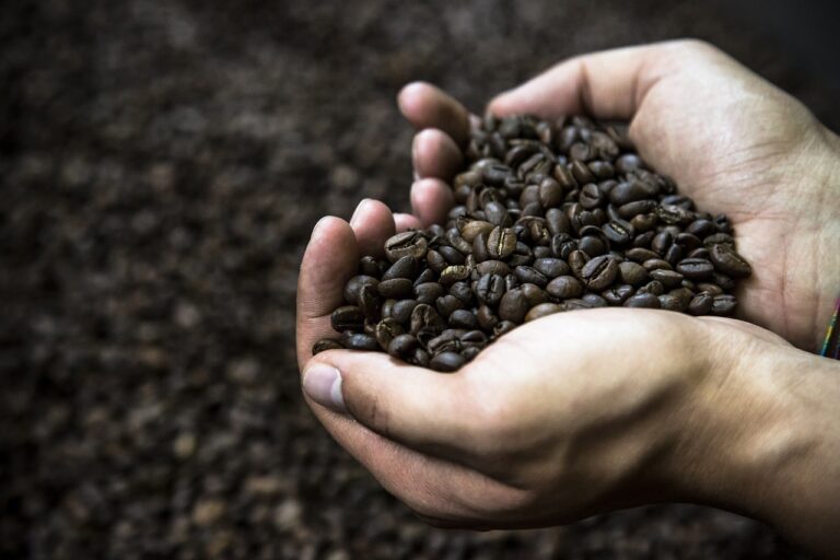 Coffee: History and Evolution of a Global Passion