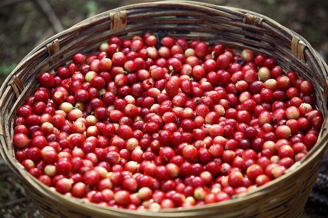 Specialty Coffee: What Makes It So Special?