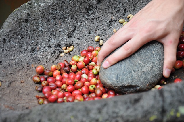 The Aromas of Coffee: Explore the Notes and Fragrances